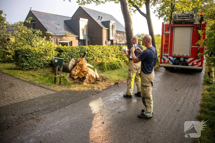 Amersfoort geteisterd door schades na hoosbuien