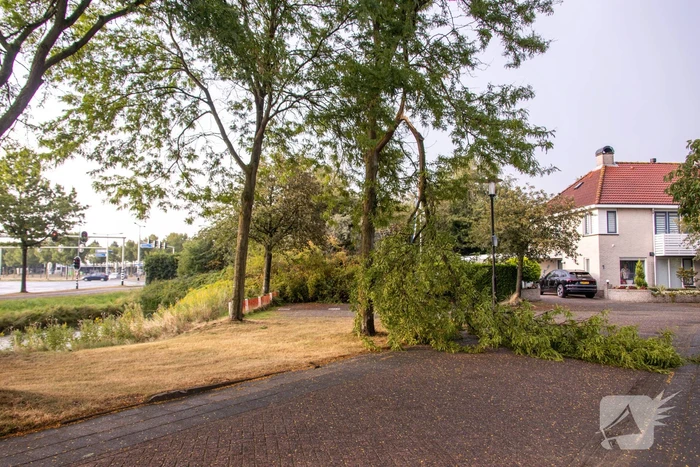 Amersfoort geteisterd door schades na hoosbuien