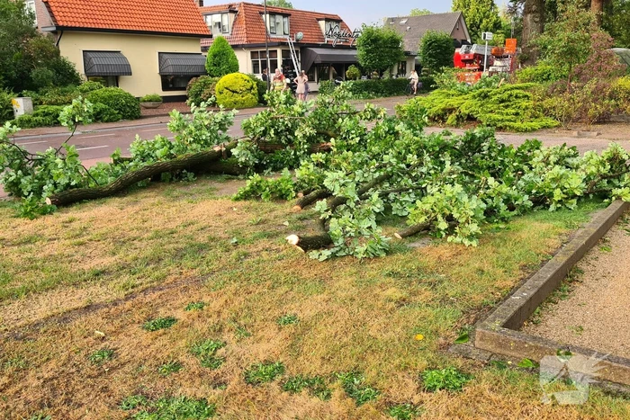 Weg afgesloten doordat takken afbreken