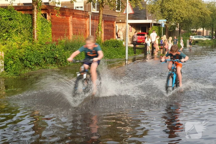 nieuws wildzoom barneveld