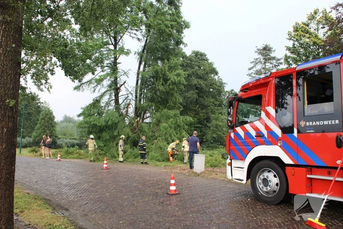 Omgewaaide boom blokeert oprit woning
