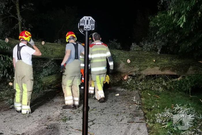 Grote boom valt op weg