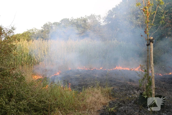 Stuk bos naast zweefvliegclub Volkel vliegt in brand