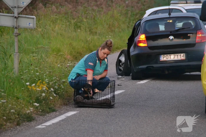 ongeval oude spoorbaan leiderdorp