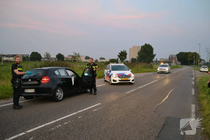 Hond komt met de schrik vrij bij verkeersongeval