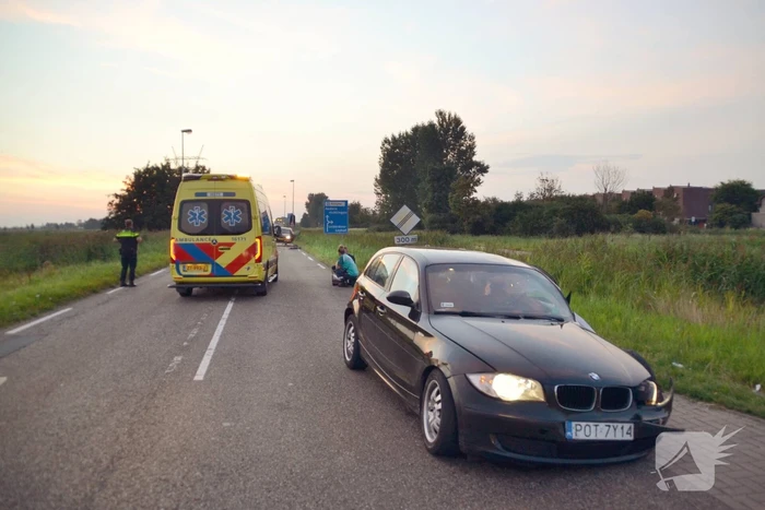 Hond komt met de schrik vrij bij verkeersongeval