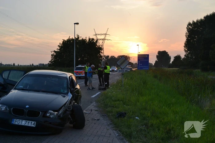 Hond komt met de schrik vrij bij verkeersongeval