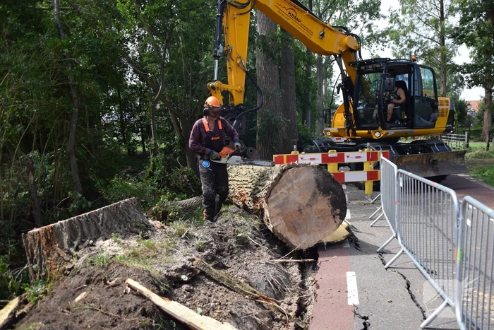 Gemente ruimt 15 bomen op na storm