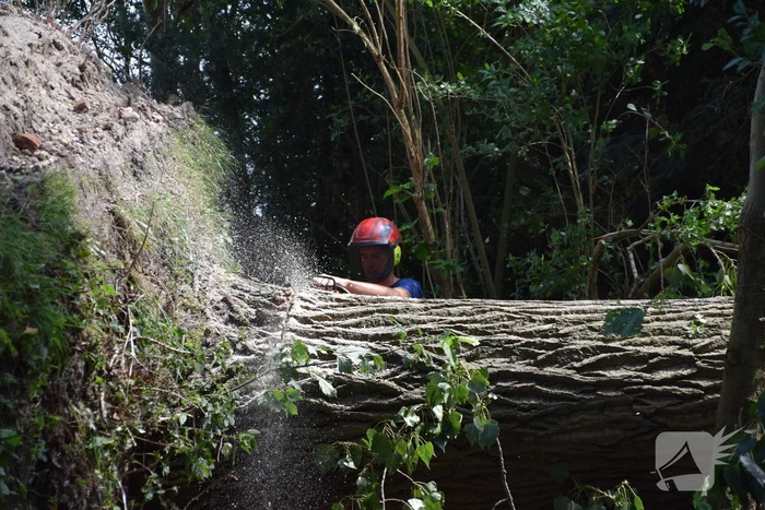 Gemente ruimt 15 bomen op na storm