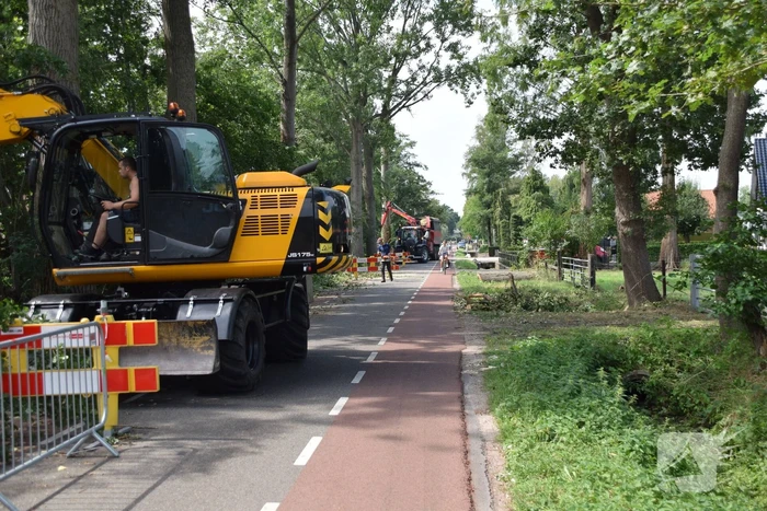 Gemente ruimt 15 bomen op na storm
