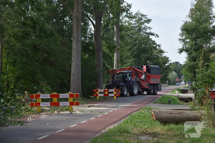 Gemente ruimt 15 bomen op na storm
