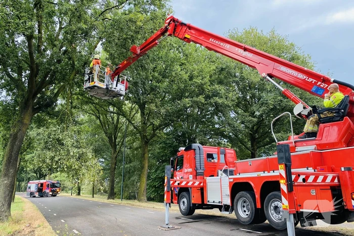 nieuws voorhei veghel