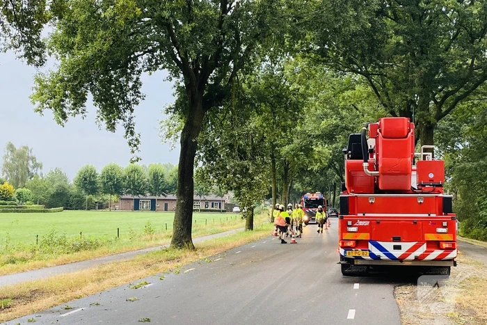 Gevaarlijke afgebroken tak door brandweer verwijderd