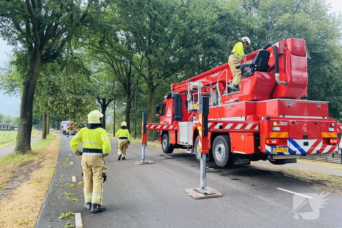 Gevaarlijke afgebroken tak door brandweer verwijderd
