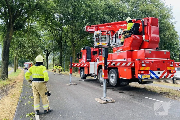 Gevaarlijke afgebroken tak door brandweer verwijderd
