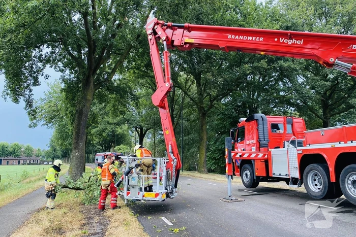 Gevaarlijke afgebroken tak door brandweer verwijderd