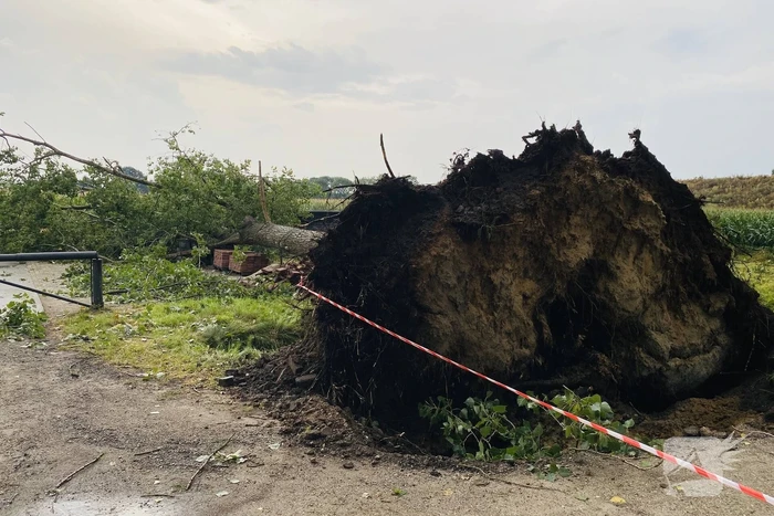 Meerdere bomen om gewaaid bij noodweer