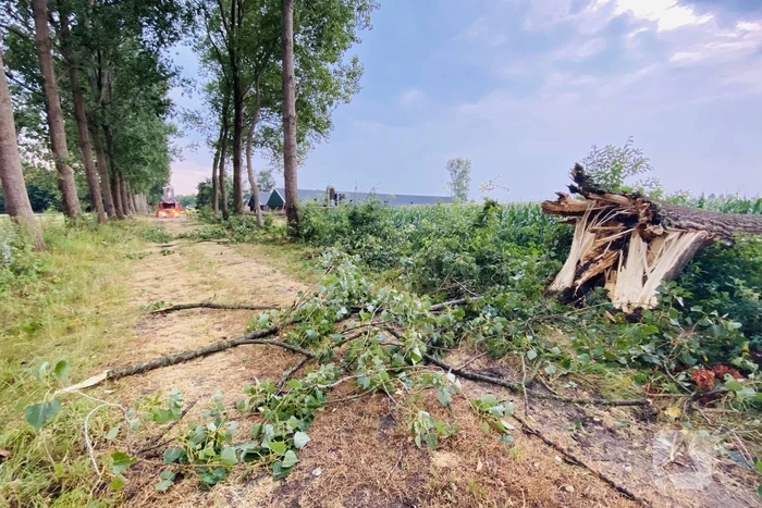 Meerdere bomen om gewaaid bij noodweer