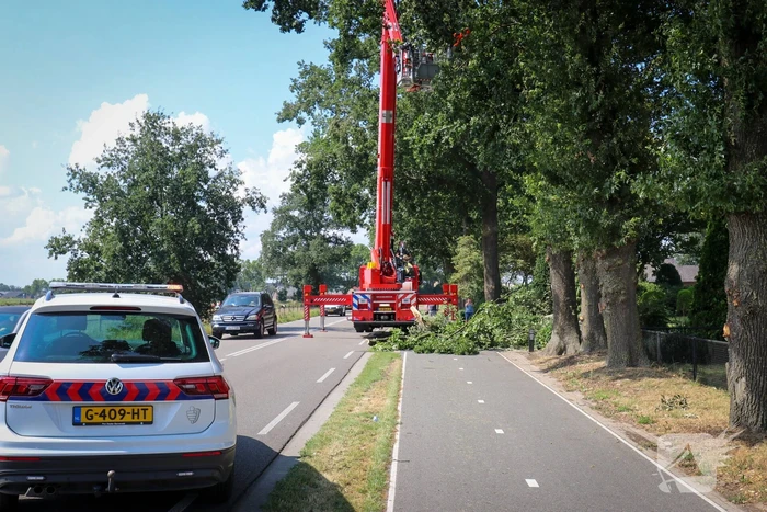 Loshangende takken zorgen voor gevaarlijke situatie