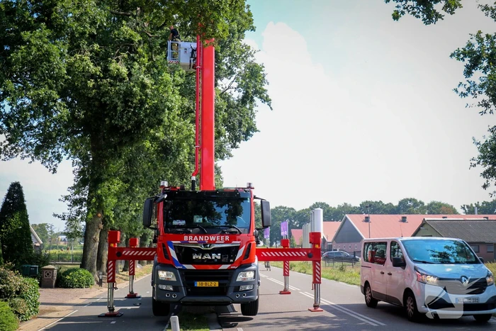 Loshangende takken zorgen voor gevaarlijke situatie