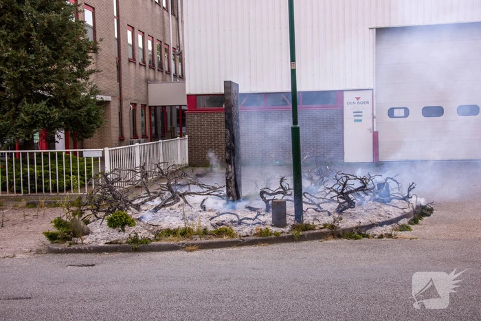 Onkruidbrander zet perk in de brand