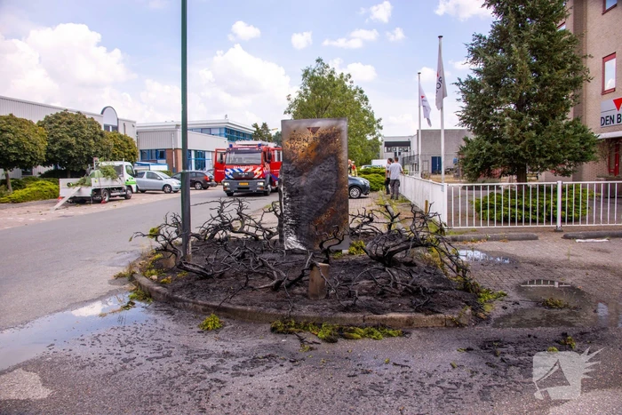 Onkruidbrander zet perk in de brand