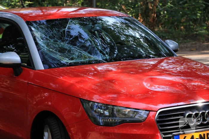 Mountainbiker flink gewond bij botsing op auto
