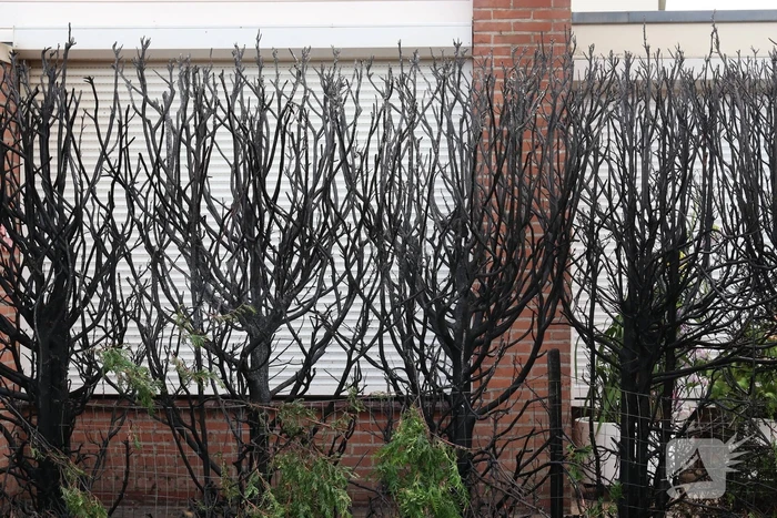 brand boekhorst ede