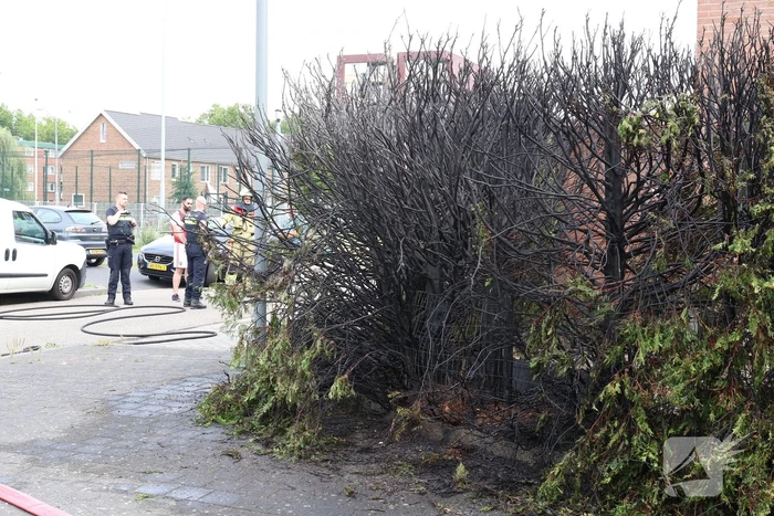 Fikse brand in heg door weg branden wespennest