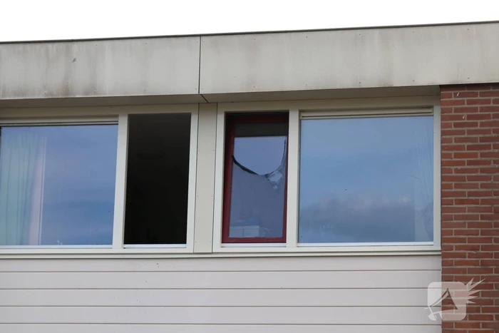 Fikse brand in heg door weg branden wespennest