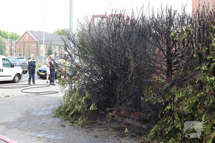 Fikse brand in heg door weg branden wespennest