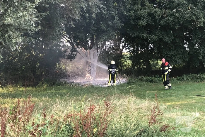 Brand in boom