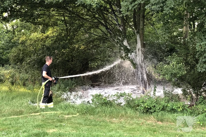 Brand in boom
