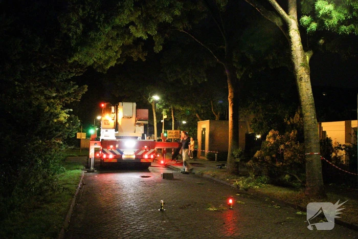 Meerdere takken breken af na blikseminslag in boom