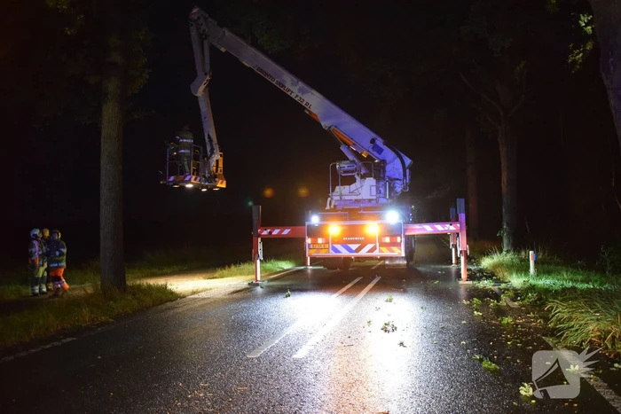 Gevaarlijk hangende tak zorgt voor gevaarlijke situatie