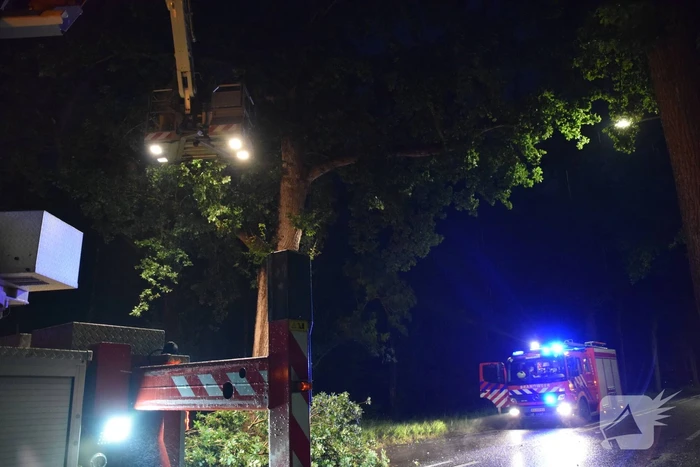 Gevaarlijk hangende tak zorgt voor gevaarlijke situatie