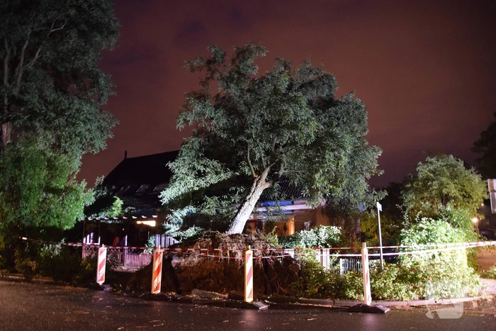 Boom valt op woning