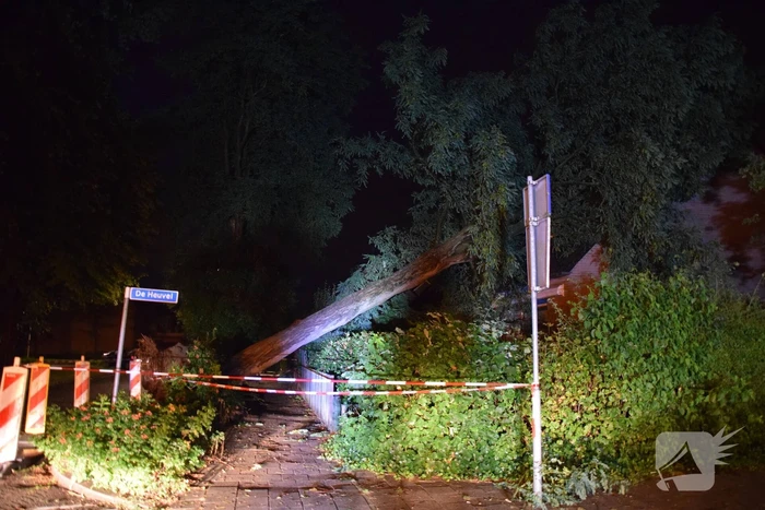 Boom valt op woning