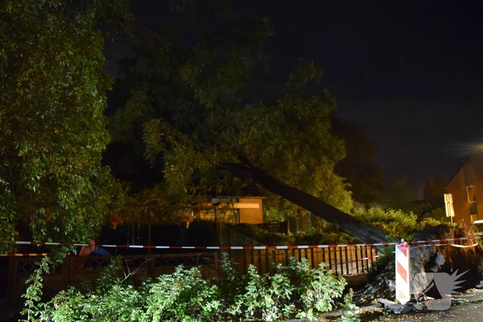 Boom valt op woning