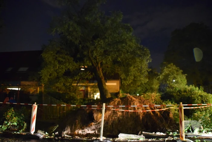 Boom valt op woning