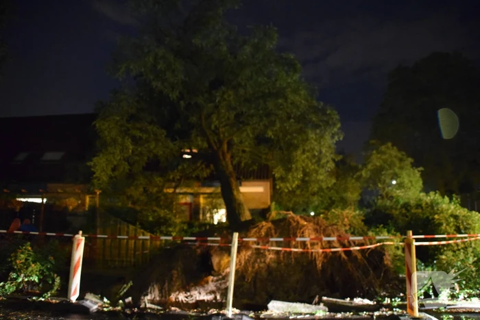 Boom valt op woning
