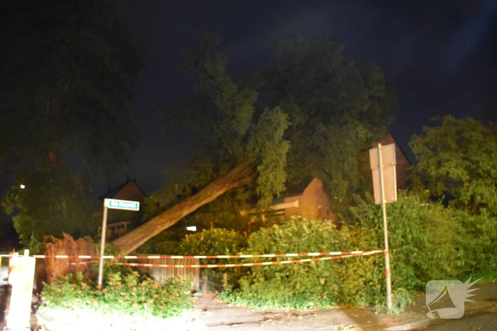 Boom valt op woning