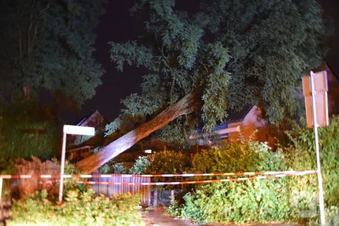 Boom valt op woning