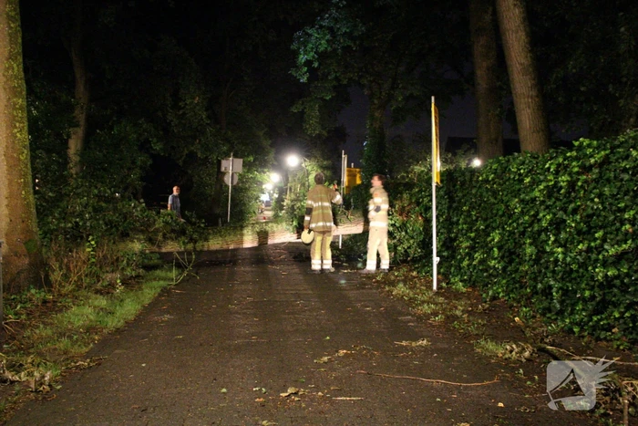 Boom valt om op fietspad