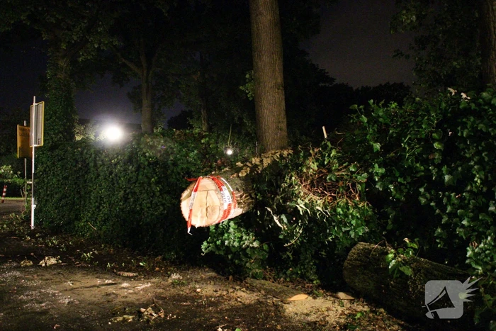 Boom valt om op fietspad