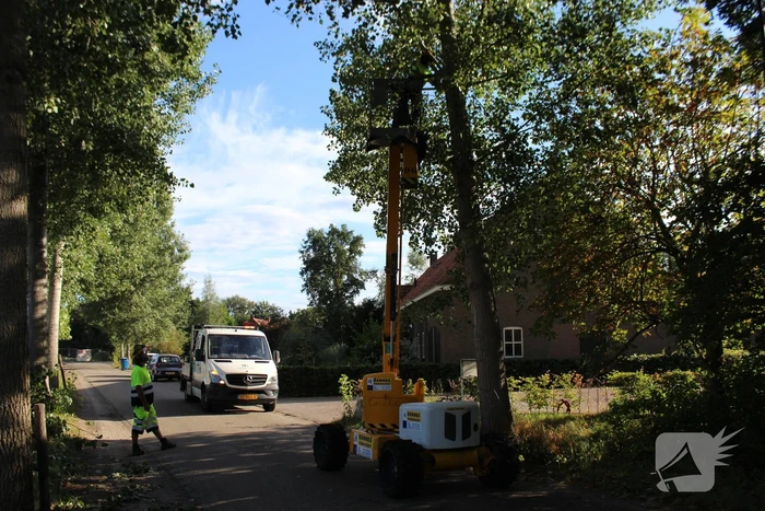 nieuws hoeves schijndel