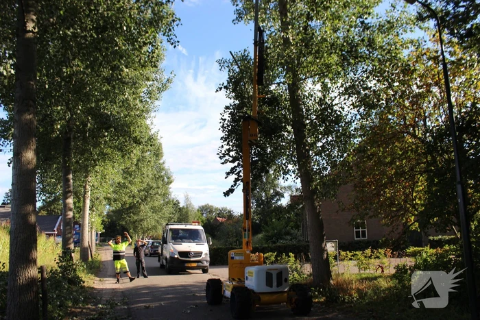 Top van boom breekt af en komt gevaarlijk boven de weg te hangen