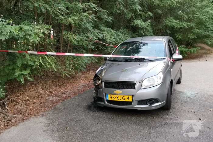 Geparkeerde auto vat vlam