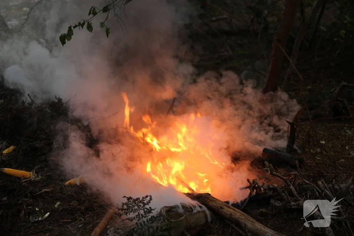 Berg afval in bos in brand gestoken
