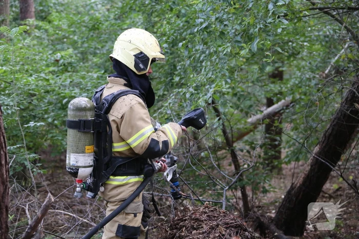 Berg afval in bos in brand gestoken